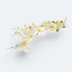 Magnolia biel - róż l 100cm d 40cm K7L0303