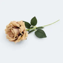 T038009COF róża velvet pojedyncza 75cm