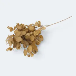 2030233821GR eukaliptus gałązka 75cm