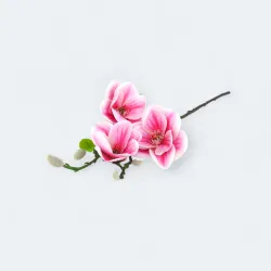 CH17034671PI magnolia gałązka 56cm