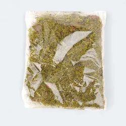 Tilancia moss kolor 100g MEX02K