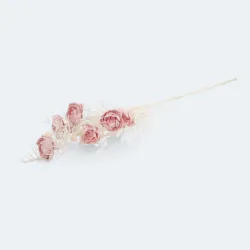 Drobny ranunculus gałązka 73cm 209CAN03079_14