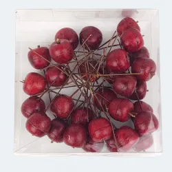 Jabłka na piku 30szt/pacz - sztucz.  925CAN16244-1
