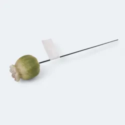 Makówka ceramiczna na piku 314CAN52420_mixGR 41cm