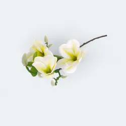 2030228138WH.GR magnolia gałązka 56cm