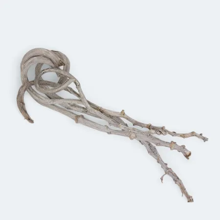 BANANA STICK 70 CM S/5 WHITE BU11254FW