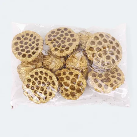LOTUS EX-LARGE 10 CM UP S/10 V-0058