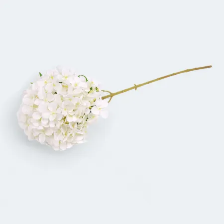 4731WH hortensja pojedyncza 69cm