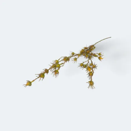 CH06738476OR gałązka dekoracyjna 95cm