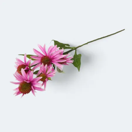 Echinacea 73cm -sztucz.rośl. 163CAN5797-17/1_04