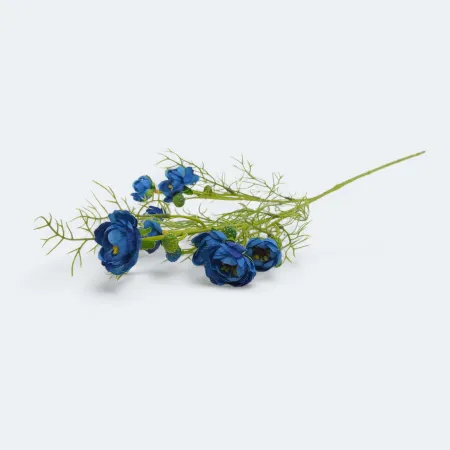 Ranunculus 07,3038
