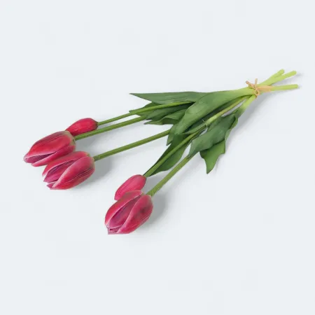 Tulipan gumowy 3+2/pęcz. 78CAN7365PR_09