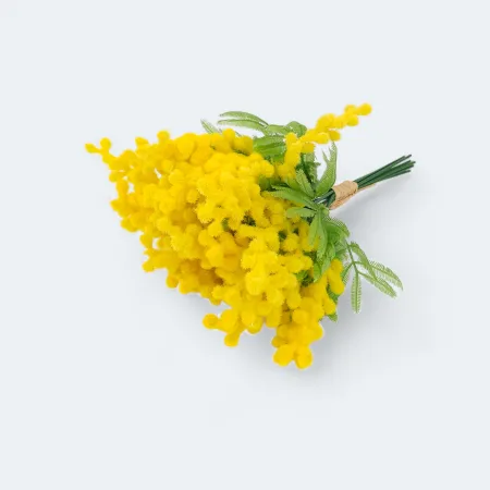 Mimoza 10szt/pęcz. -sztucz.rośl. 313CAN0243